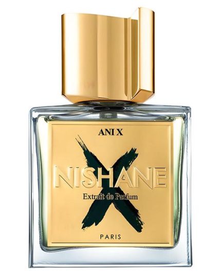 Ani X