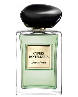 Cyprès Pantelleria