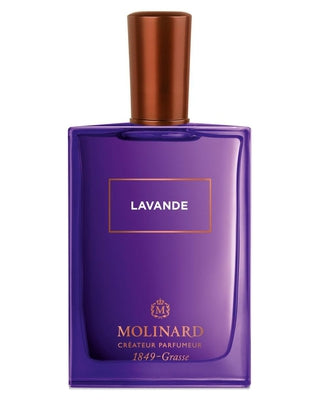 Lavande