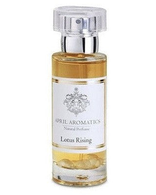 Lotus Rising