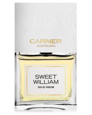 Sweet William
